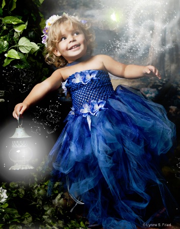 Blue Fairy