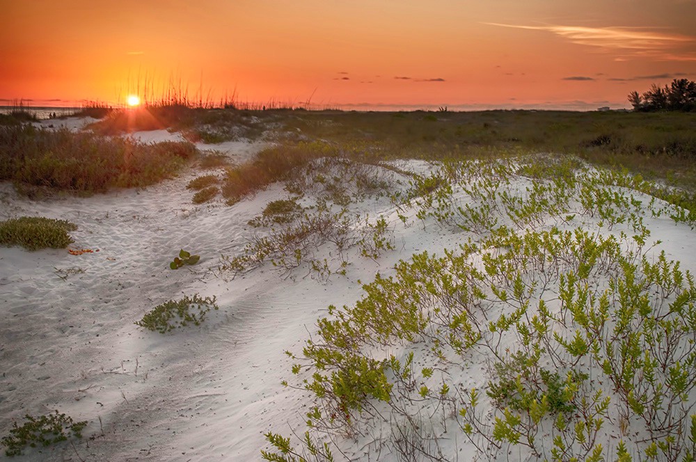 Lido Beach Sunset