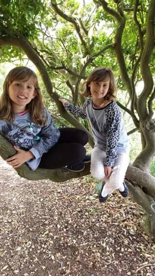 Nieces  Lila and Amy in Tree