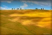 Tuscany's lig...