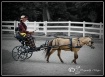 Carriage Ride