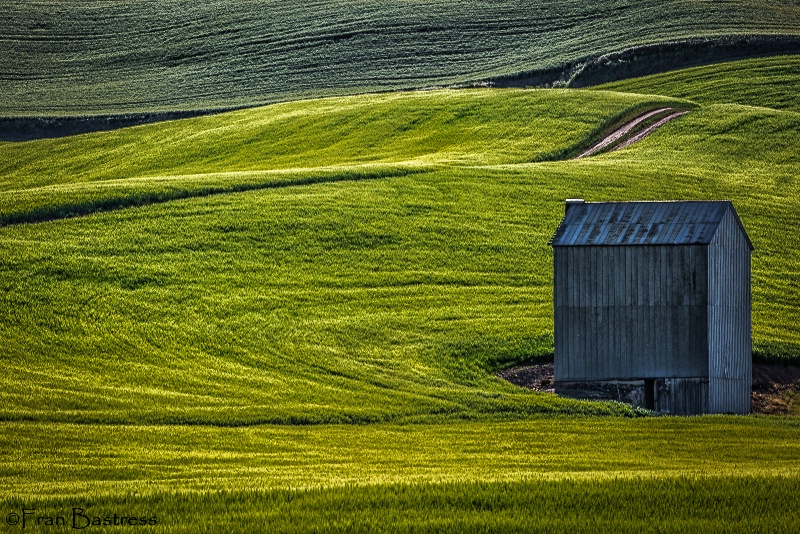 Blue on Green in the Palouse - ID: 15210208 © Fran  Bastress