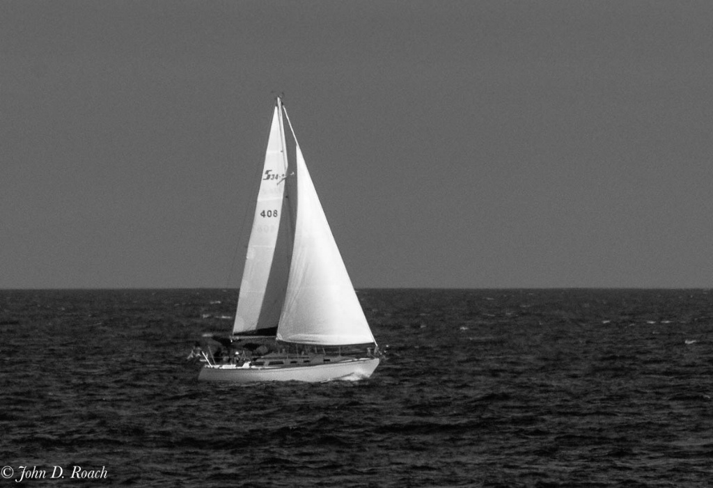 Summer Sailing-1