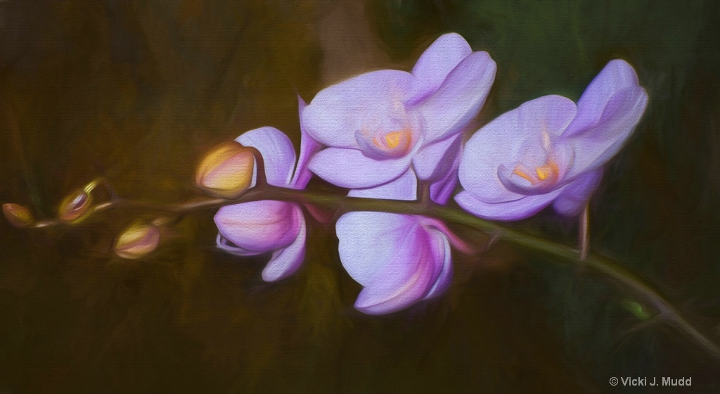 4 Lavender Orchids