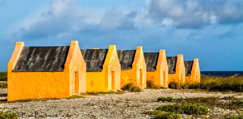 Bonaire - ID: 15210545 © Fran  Bastress