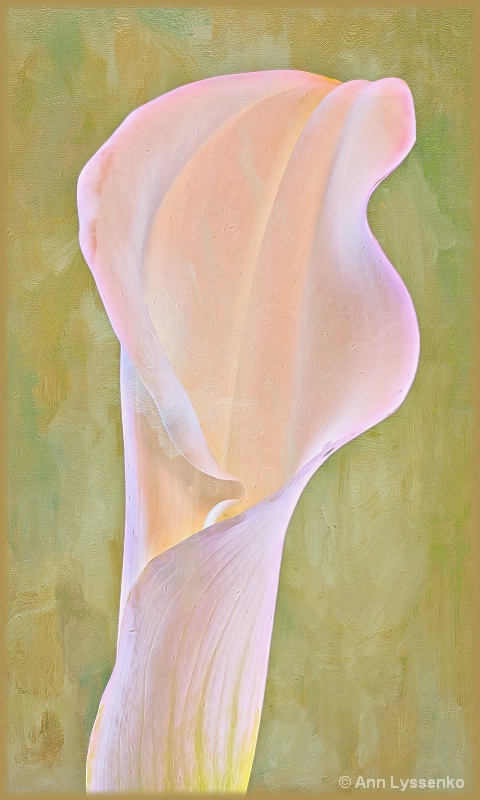 img20