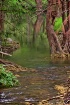 Tranquility