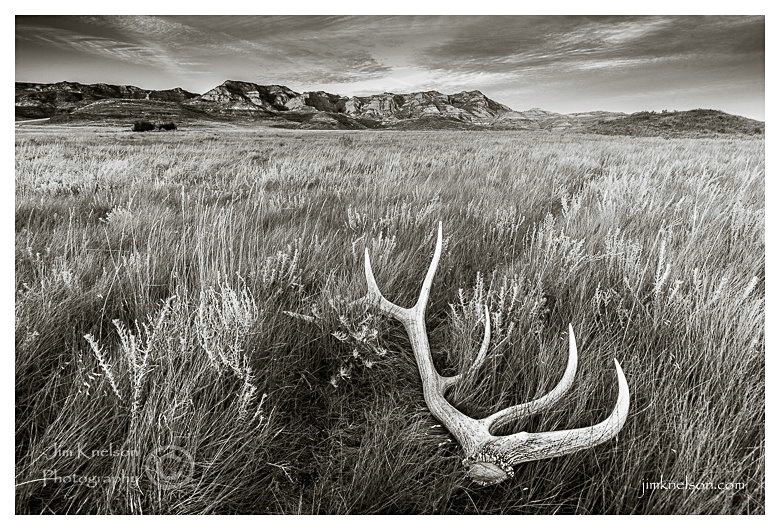  Milk River Natural Area,  Southern Alberta - ID: 15211539 © Jim D. Knelson