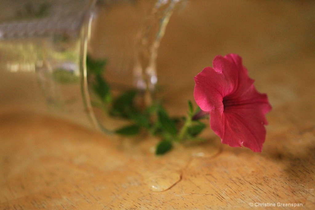 On the Table