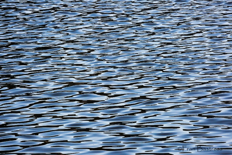 Lake Audubon, Reston, VA - ID: 15212136 © Fran  Bastress