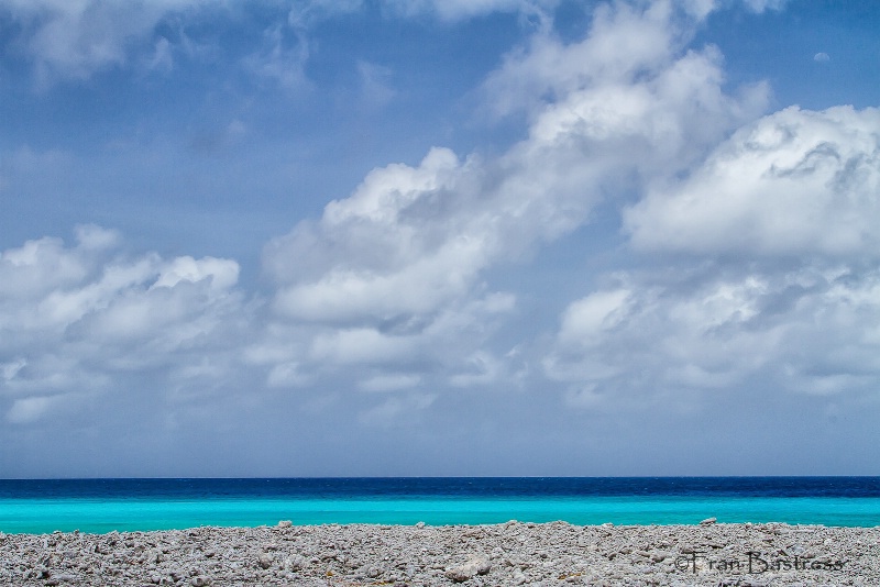 Bonaire - ID: 15212149 © Fran  Bastress
