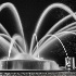 2Charleston Splash Fountain, SC - ID: 15212161 © Fran  Bastress