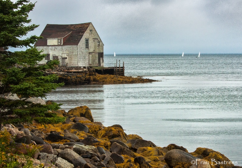 St. Margaret's Bay, Nova Scotia - ID: 15212171 © Fran  Bastress