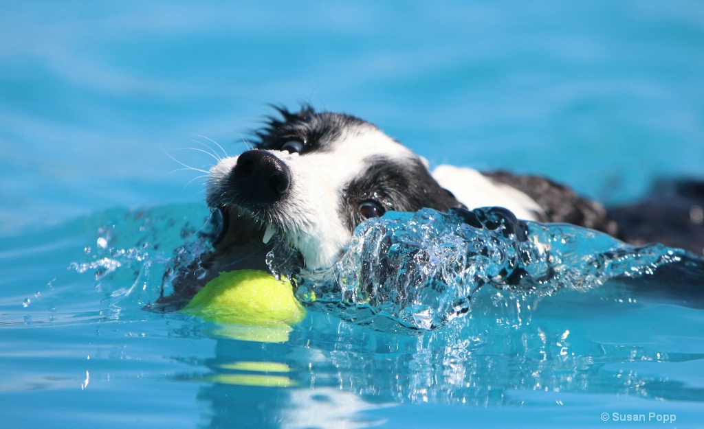 Get it, Slider!