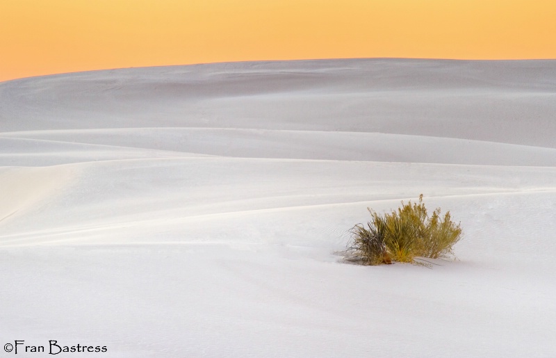 White Sands National Monument, NM - ID: 15215033 © Fran  Bastress