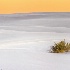 2White Sands National Monument, NM - ID: 15215033 © Fran  Bastress