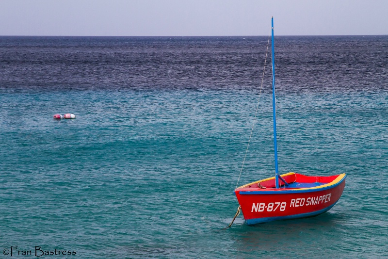 Bonaire - ID: 15215268 © Fran  Bastress