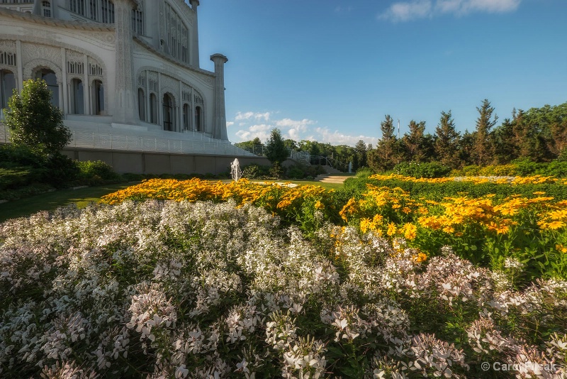 Bahai Beautiful Blooms