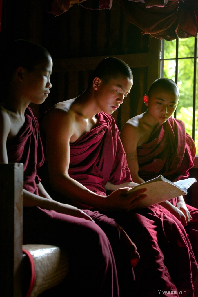monk reading doctrine
