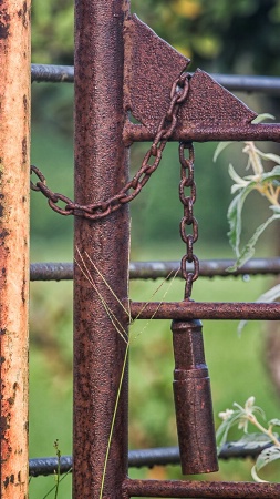 Ranch Gate