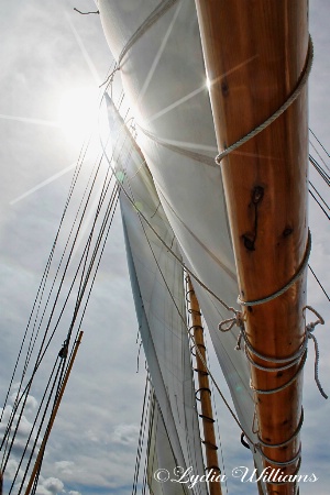 Sails in the Sun