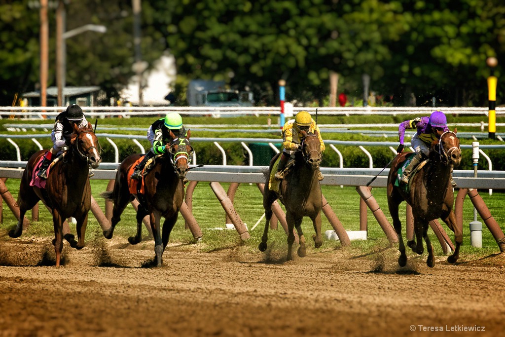 Saratoga Springs horse racing