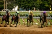 Saratoga Springs ...