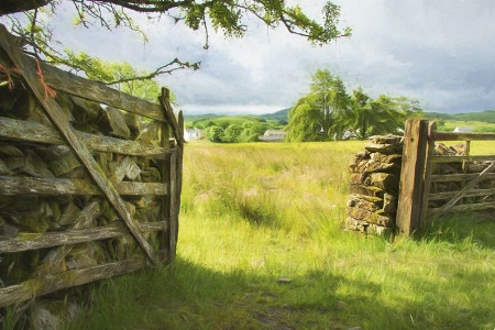 Gate and field, Lake District, England