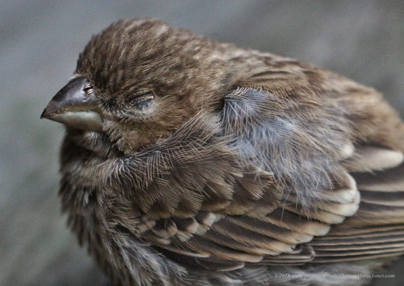 QUIET BABY SLEEPING