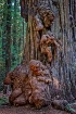 "The Golden Y...