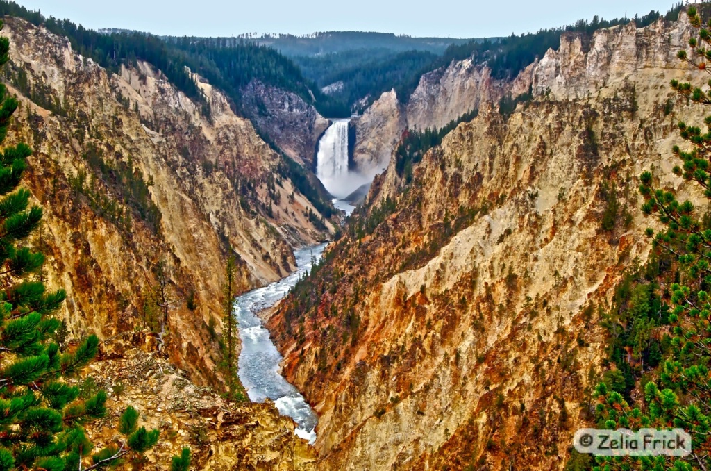 The Grand Canyon of Yellowstone - ID: 15216585 © Zelia F. Frick