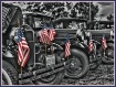 Row of Flags