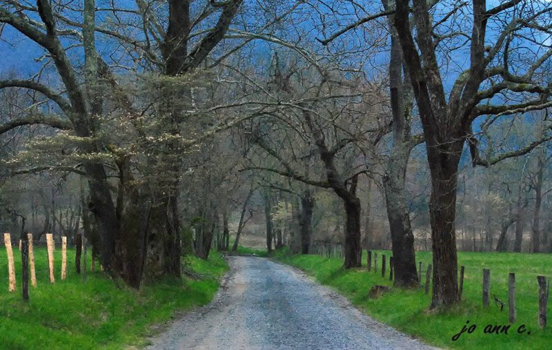 EARLY MORNING AT CADES COVE