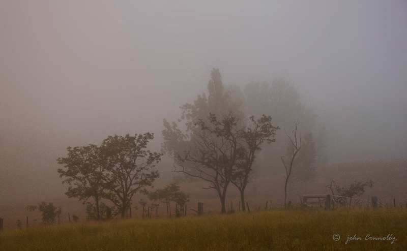Seasonal Fog