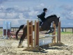 Horse Jump