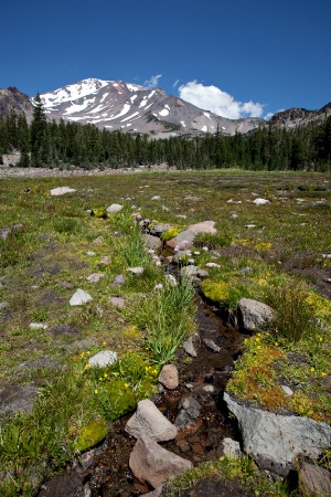 Lower Panther Meadow