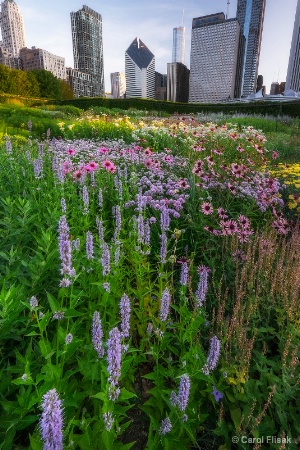 Chicago's Lurie Garden