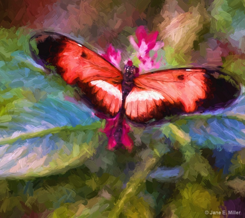 Red Butterfly Painting