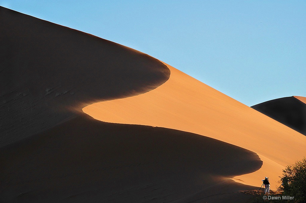 namibian dune - ID: 15219403 © Dawn Miller