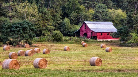 Red Barn