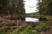 Beaver Dam