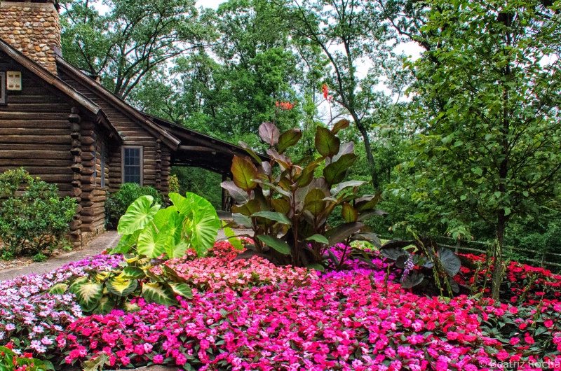 The Login Cabin