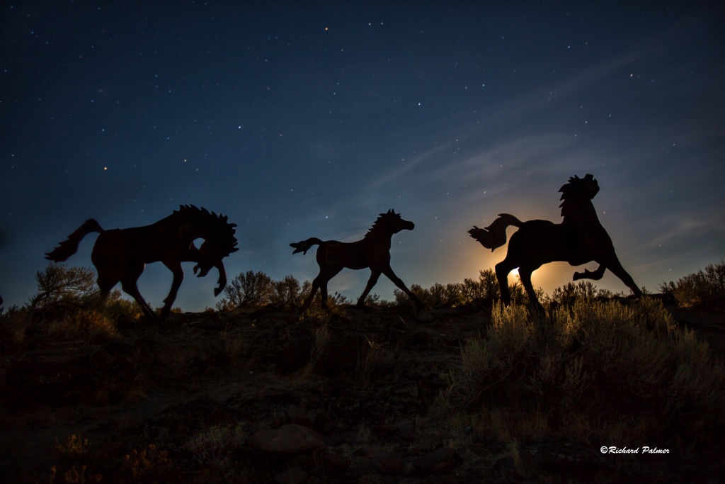 Wild Horse Monument 7191