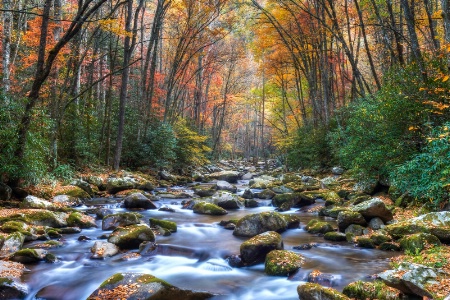 Tennessee Creek Ablaze