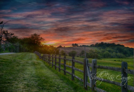 Along the fence