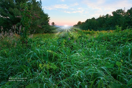 Plotterkill Preserve 