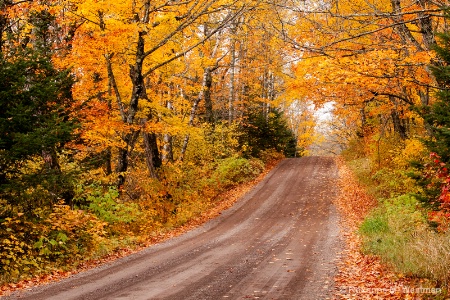 Superior National Forest 1