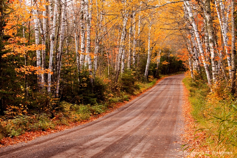 Superior National forest 2