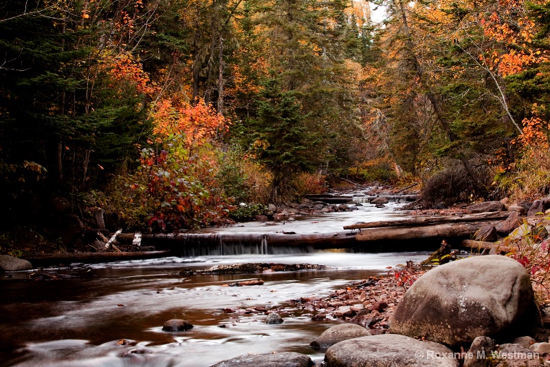 Fall River on the North Shore - ID: 15225160 © Roxanne M. Westman