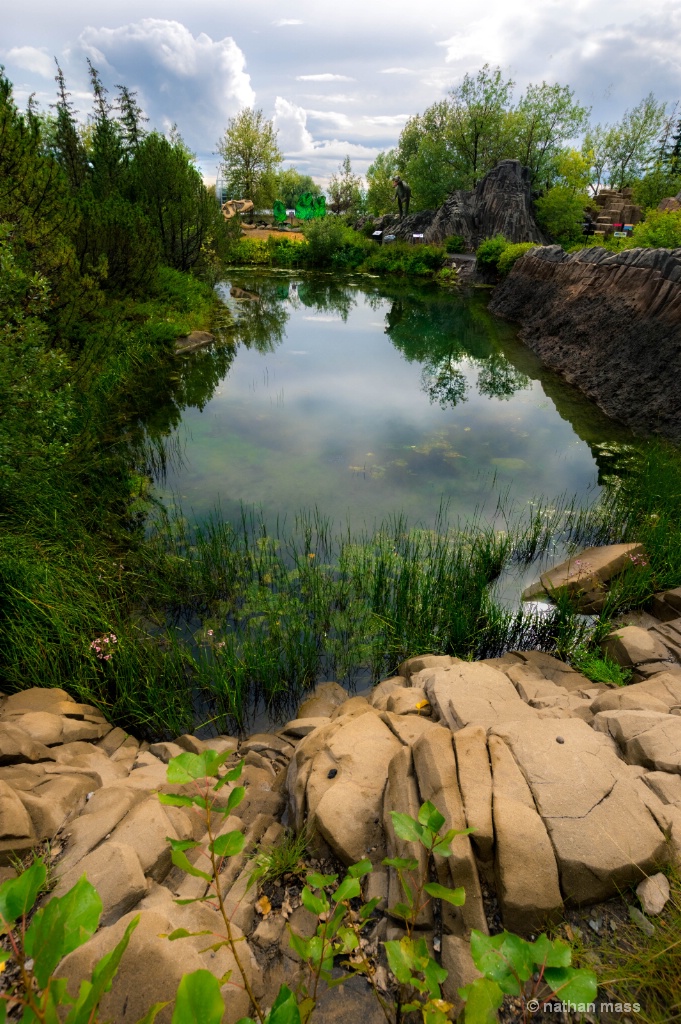 pond 